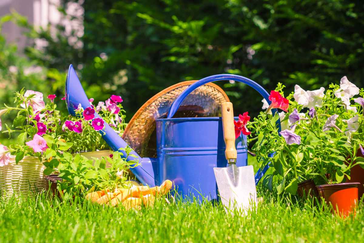 6 consejos para preparar el jardín para la primavera