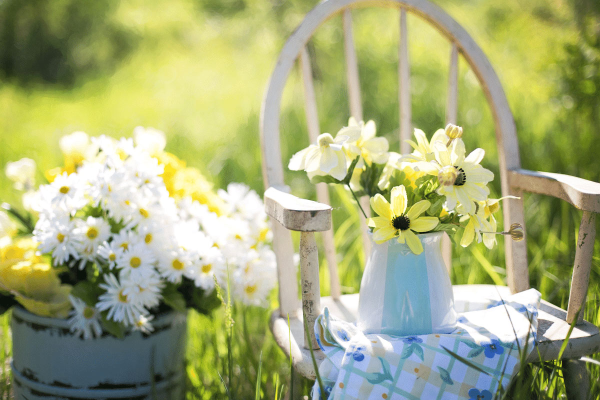como cuidar tu jardín esta primavera